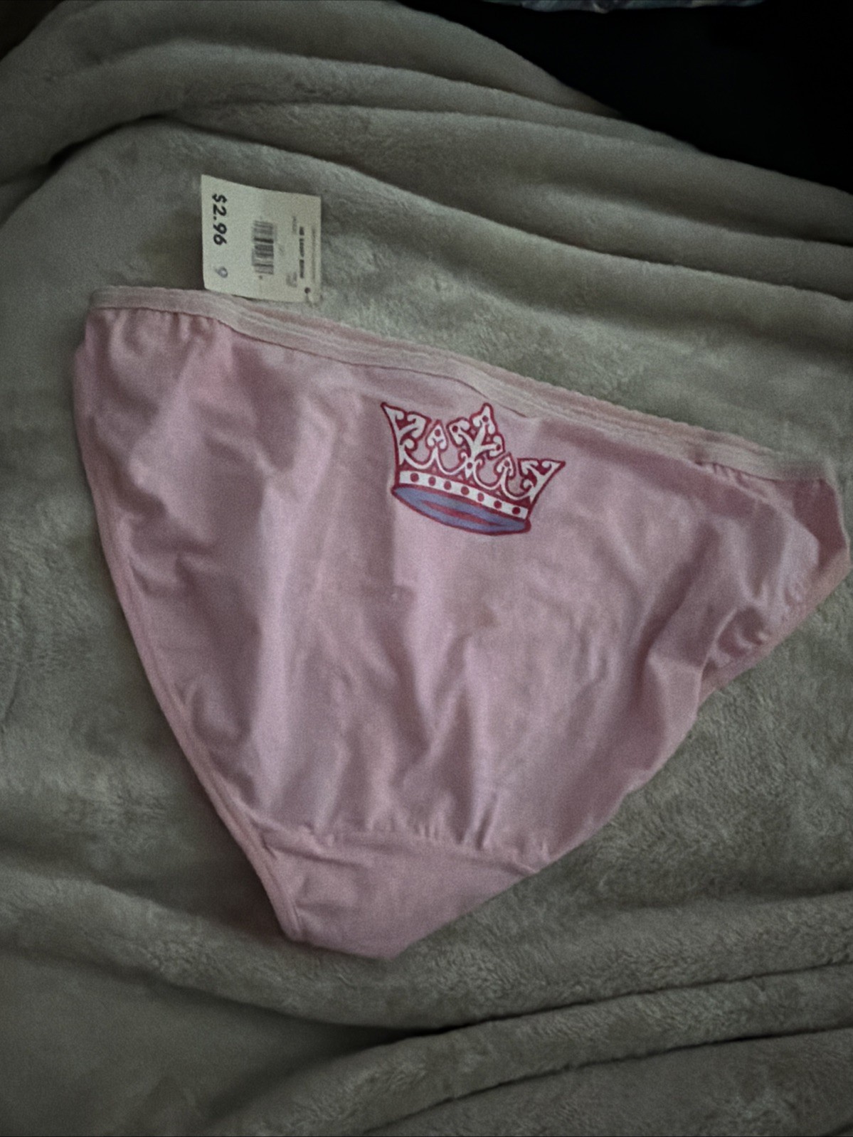 Vtg Y2K Panties No Boundaries Cotton Spandex Bikini Pink Princess Print NWT 9