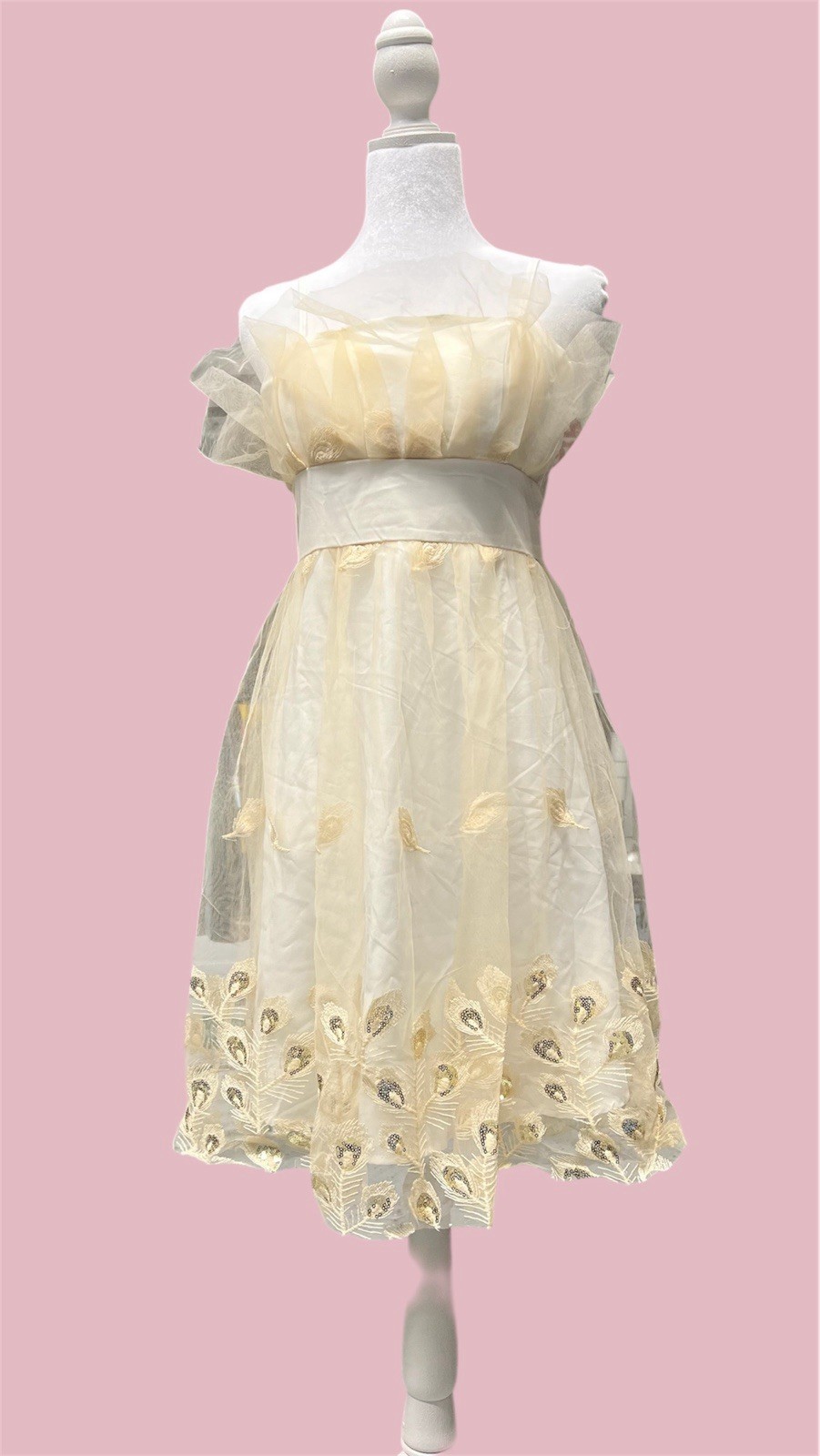 Ivory Sheer Embroidered Tea Dress Vintage Overlay Off-Shoulder Women’s