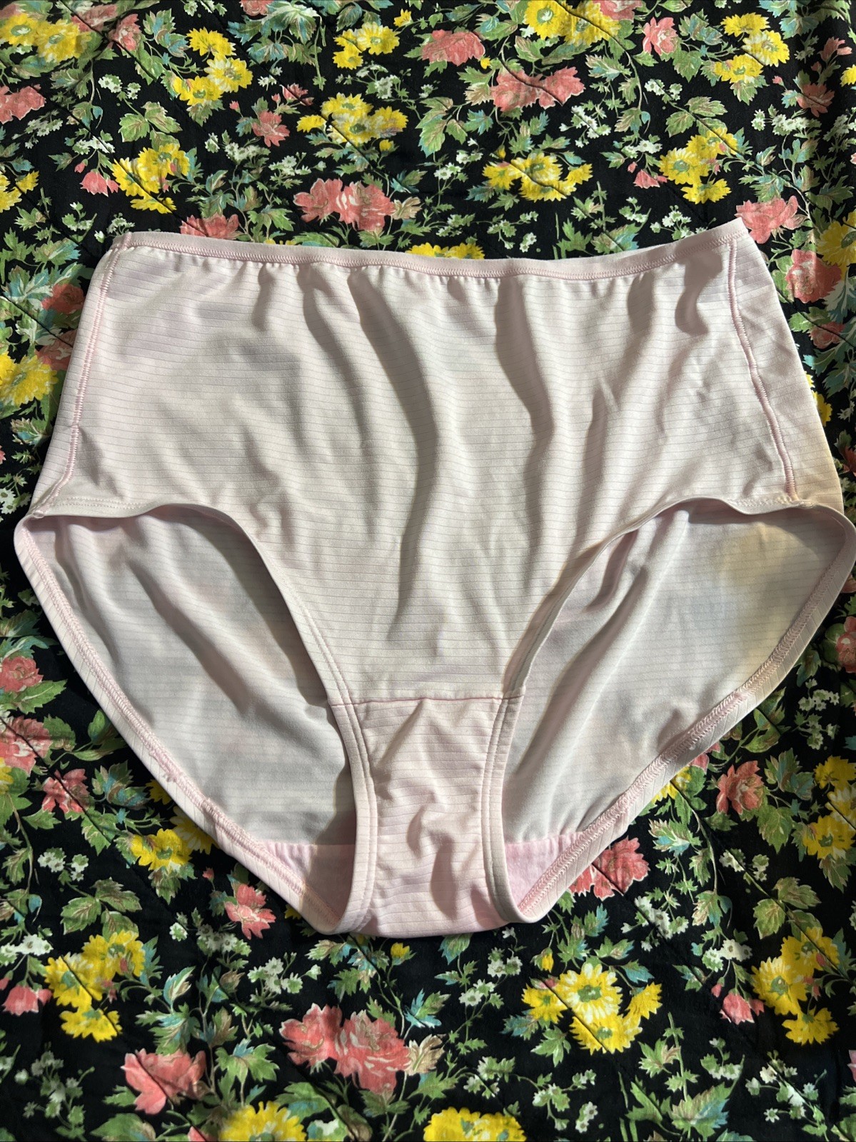 Fruit Of The Loom Nylon Panties Pink Silky Shiny Striped Granny Sz 8 NWOT
