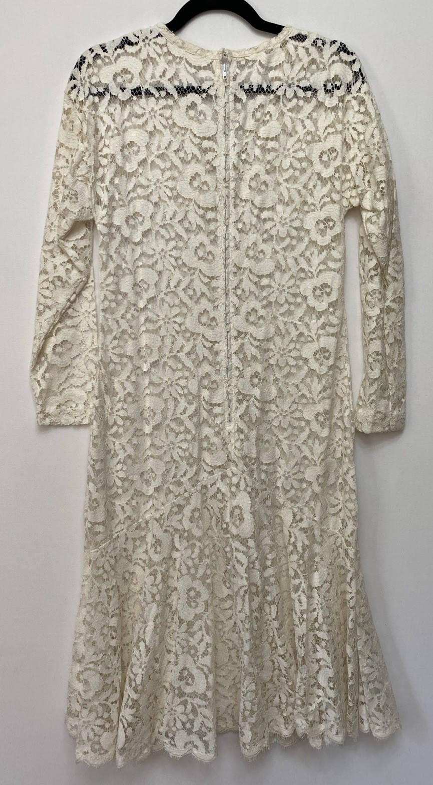 Vintage 80s L Lace Dress Ivory Fit Flare Mermaid Sheer Stevie Nicks