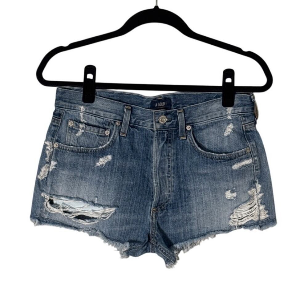 AGOLDE Parker Vintage Cutoff Short in Swapmeet Size 25