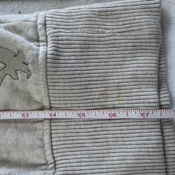 American Eagle gray graphic cropped fur lined hooded jacket y2k vintage mcbling