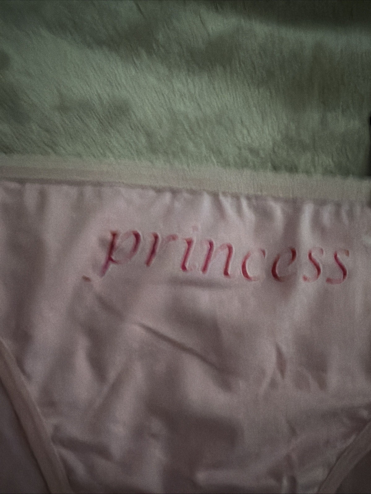 Vtg Y2K Panties No Boundaries Cotton Spandex Bikini Pink Princess Print NWT 9